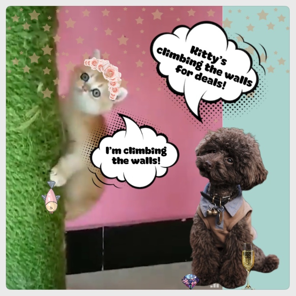 🌟SAVE ON KIDS’!🌟 - Picture 3 of 3